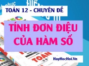 Các dạng bài tập về tính đơn điệu (đồng biến, nghịch biến) của hàm số - Toán lớp 12